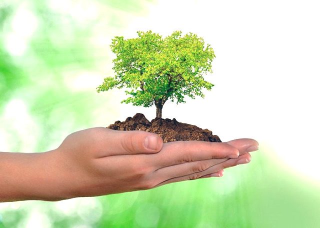 RECREACIÓN PARA TODOS, GRAN JORNADA AMBIENTAL EN GARZÓN